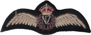 Badge Pilot 