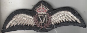 Badge Pilot 