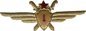 Badge Pilot 1st class 