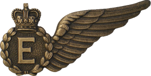 Badge Flight Engineer 