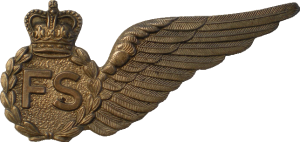 Badge Flight Steward 