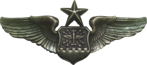 Badge Senior Navigator Badge 