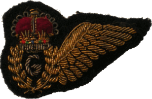 Нагрудный знак Стрелок 