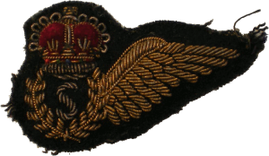 Badge Signalier 