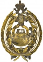 Нагрудный знак Знак Комитета по усилению воздушного флота, золотой 