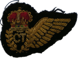 Нагрудный знак Техник экипажа 
