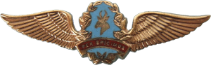 Badge Pilot 