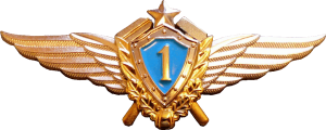 Badge Technician 1st class 