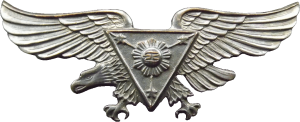 Badge Pilot 