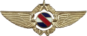 Нагрудный знак Старший пилот (мини) 