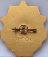 Нагрудный знак Битва за Днепр 1943 