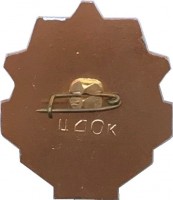 Нагрудный знак Битва за Сталинград 1942-1943 