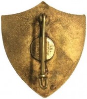 Нагрудный знак Пехотная дивизия 