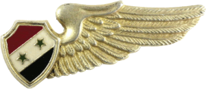 Нагрудный знак Член экипажа 