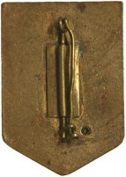 Нагрудный знак Группа SUSA 