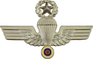 Нагрудный знак Мастер парашютист 