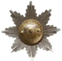 Нагрудный знак Авиационного батальона 