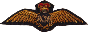 Нагрудный знак Пилот 