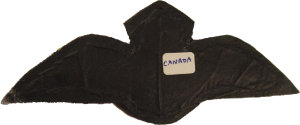 Нагрудный знак Пилот 