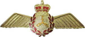 Нагрудный знак Авиатехник 