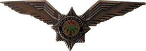 Нагрудный знак Пилот, бронзовый 