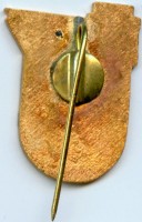 Badge Young Specialist TET 