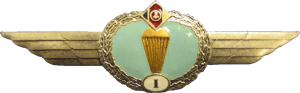 Нагрудный знак Парашютист 1 класса 