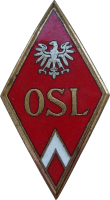 Нагрудный знак Офицерская авиационная школа 