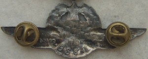 Badge Pilot observer 