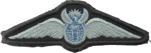 Нагрудный знак Пилот, серебряный 