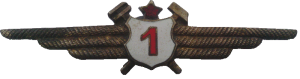 Нагрудный знак Авиатехник 1 класса 