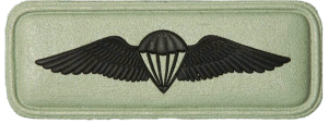 Нагрудный знак Парашютист 