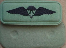 Нагрудный знак Парашютист 
