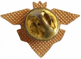 Нагрудный знак 10 лет Авиатрисса 