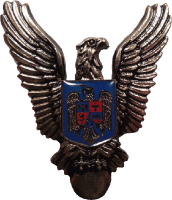 Badge Pilot without class 