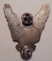 Badge Pilot without class 
