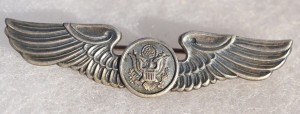 Badge Air crew man 