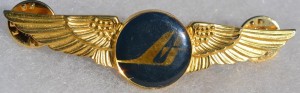 Нагрудный знак Пилот 