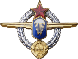 Нагрудный знак Парашютист-инструктор 2 класса 