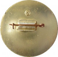 Нагрудный знак Служебный Москва 1967 г. 