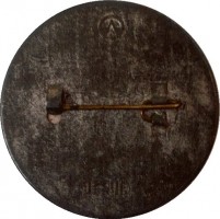 Нагрудный знак ТРЕТИЙ  ИСКУССТВЕННЫЙ  СПУТНИК  ЗЕМЛИ  1958 г. 
