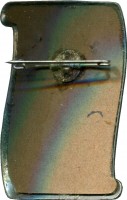 Нагрудный знак Немецкий военный костюм. 1750 