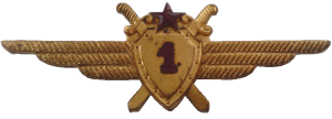 Нагрудный знак Летчик 1 класса 