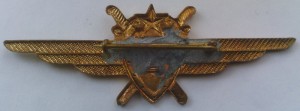 Badge Pilot 1 class 