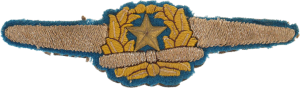 Badge Pilot 
