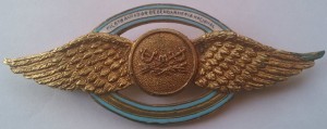 Badge Pilot of National Gendarmerie 