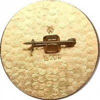 Нагрудный знак Чемпионы 1963 года, Стокгольм 