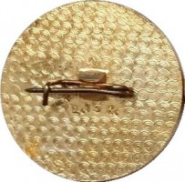 Нагрудный знак Чемпионы 1965 года, Темпере 