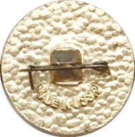 Нагрудный знак Хоккеисты СССР, чемпионы мира, Швеция 1954 