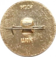 Нагрудный знак Хоккеисты СССР, чемпионы мира, Швеция 1969 